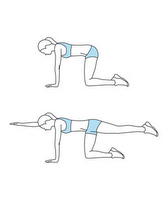 Bird dog 15 minute workout for your abs