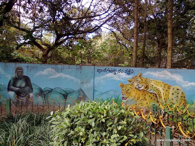 my doorstep - gorilla and leopards