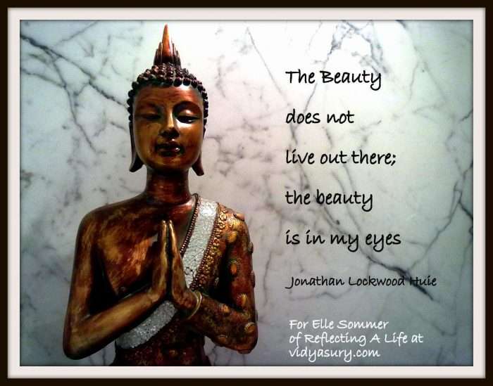 Elle Sommer's Guest post at vidyasury.com