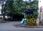 Vidya Sury Personal Responsibility coconut