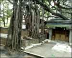 Step Back to Move Forward Vidya Sury (3)