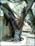 Step Back to Move Forward Vidya Sury