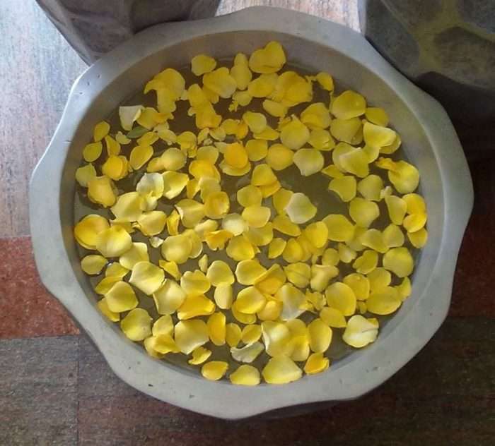 vidya sury blogadda
