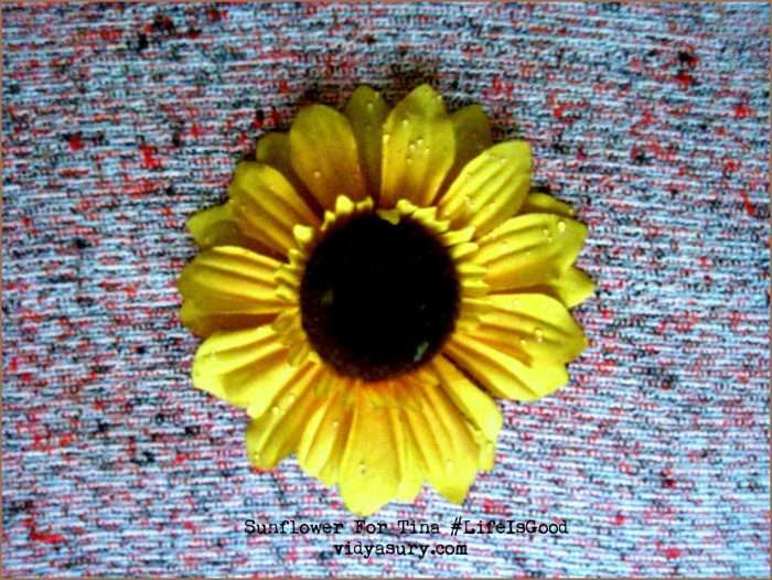 LifeIsGood Vidya Sury (