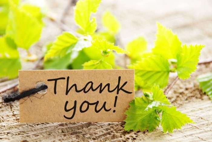 Gratitude Vidya Sury