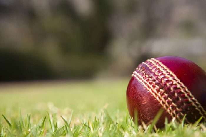 world cup cricket vidya sury