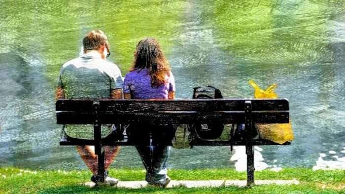 happiness is a diy project vidya sury