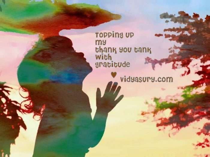 gratitude vidya sury