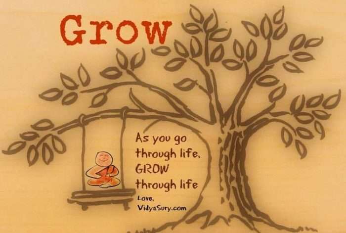 Grow Vidya Sury