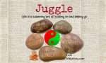 juggle vidya sury