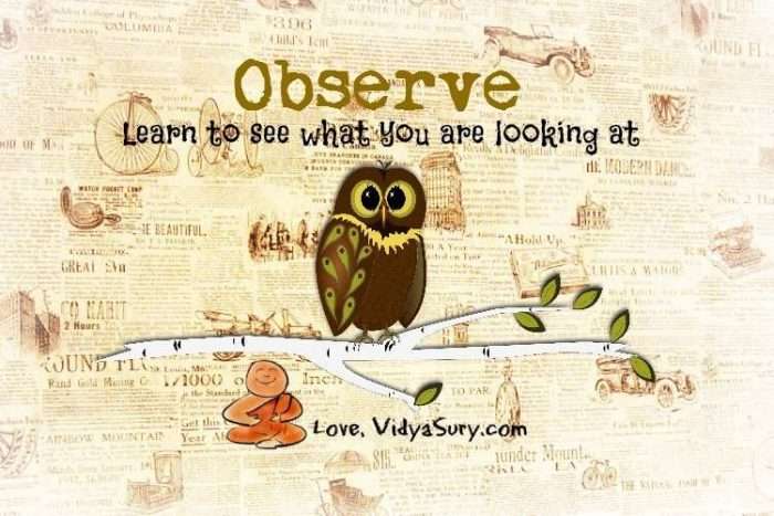 observe vidya sury
