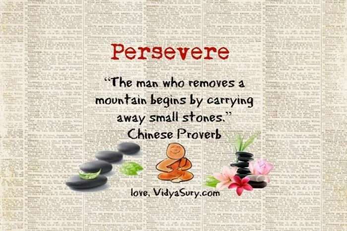 persevere vidya sury