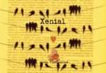 xenial vidya sury