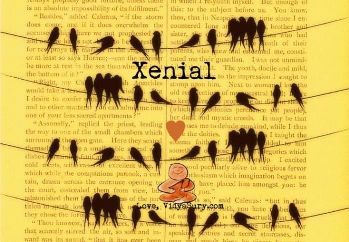 xenial vidya sury
