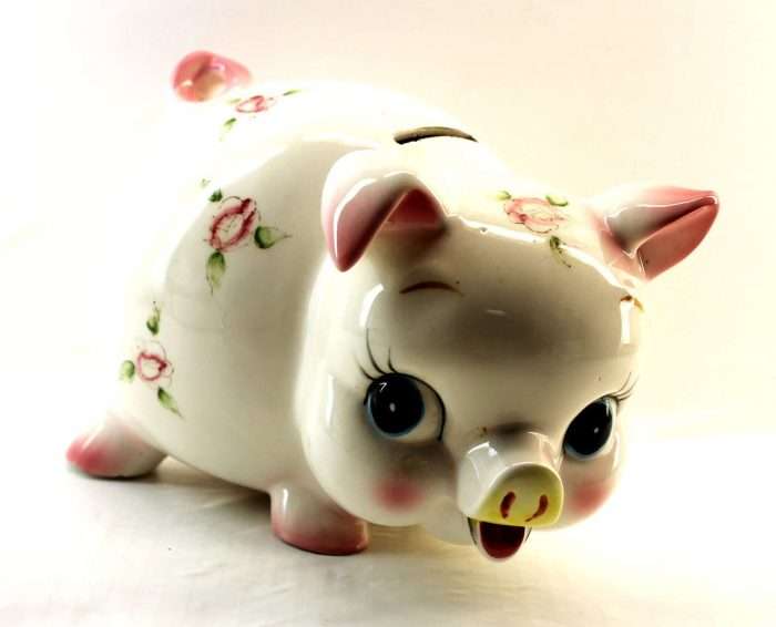 piggy bank vidya sury