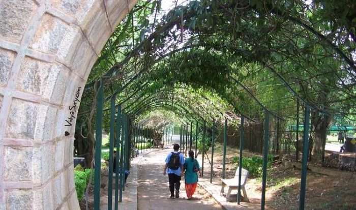 vidya sury come september 5