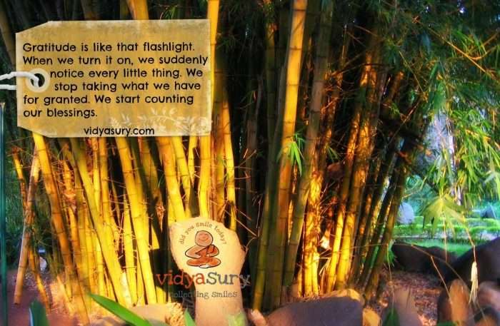 Vidya Sury Feb Gratitude Circle