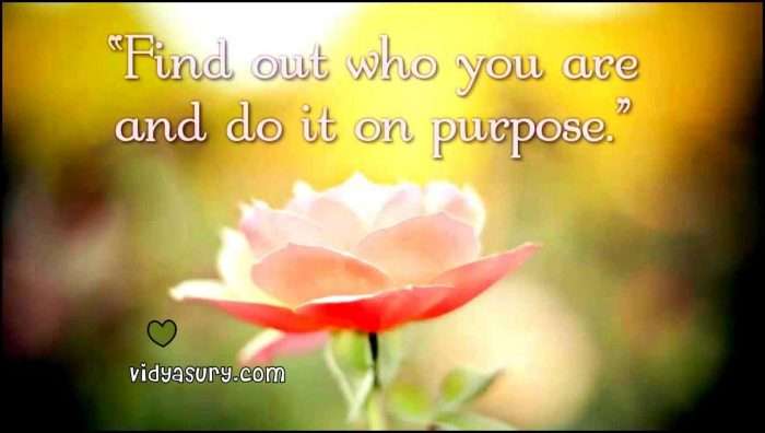 Celebrating Women Vidya Sury