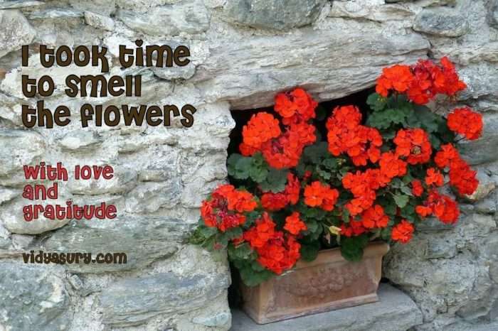 I took time to smell the flowers. Gratitude Circle. Vidya Sury