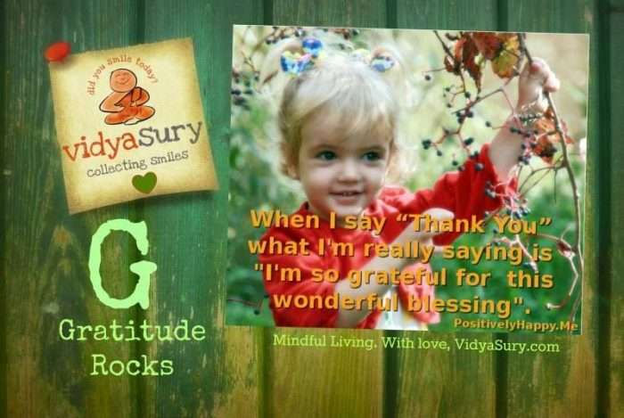 Gratitude Rocks Vidya Sury