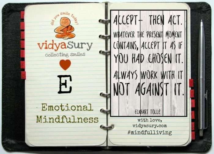 vidya sury emotional mindfulness
