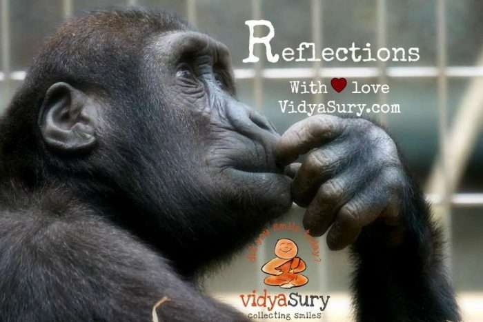 Vidya Sury AtoZChallenge 2016 Reflections