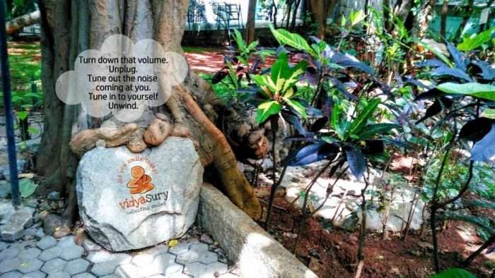 Turn down that noise Vidya Sury