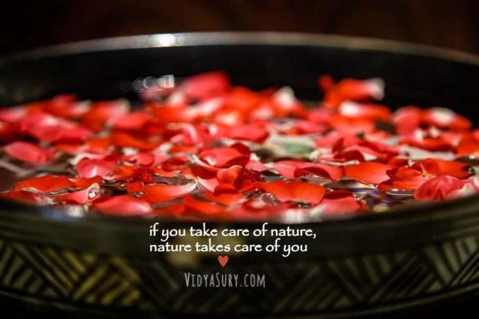 from nature, with love Vidya Sury