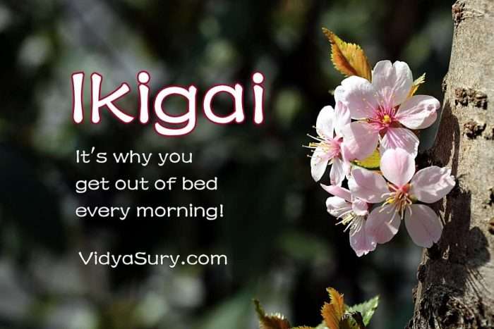 Ikigai Why you get out of bed every morning #atozchallenge #mindfulness #focus #purpose