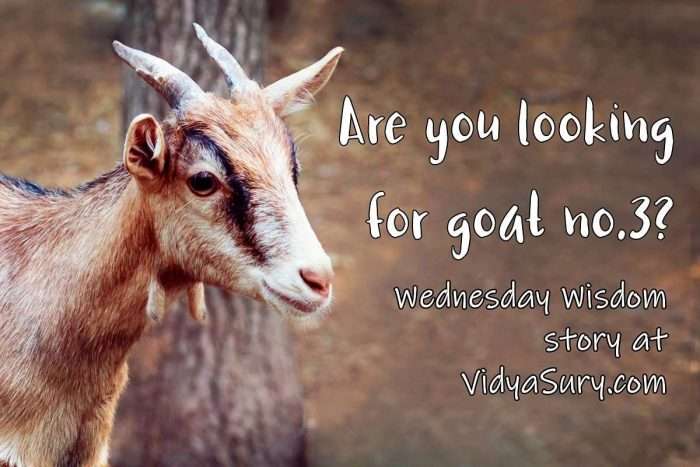 Are you looking for goat number 3 Wednesday Wisdom