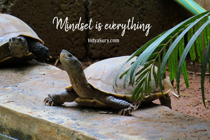 Mindset is everything. Gratitude Circle