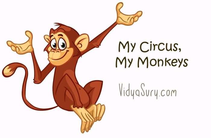 My Circus My Monkeys