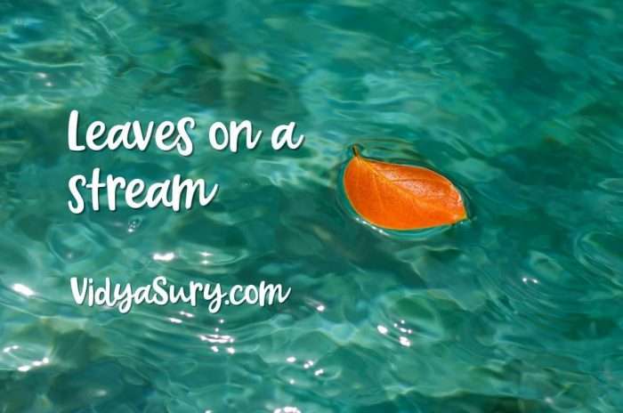 Leaves on a stream exercise to let go of thoughts causing emotional distress