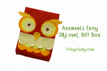 Adorable Easy DIY Owl gift box