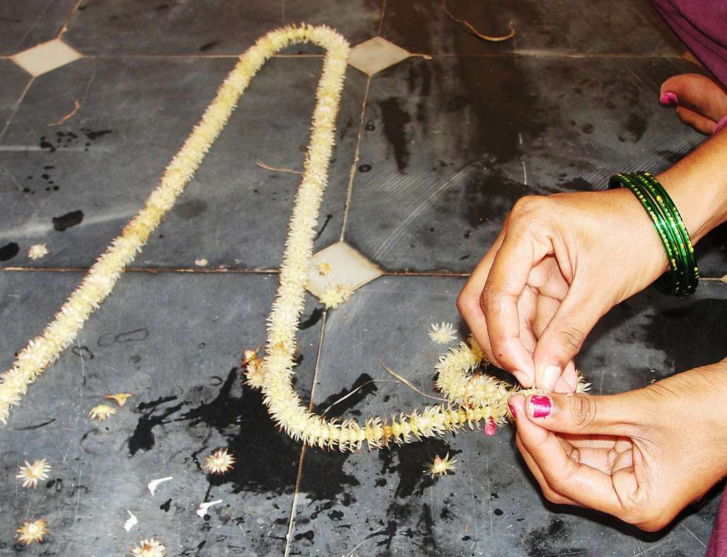 Where I am from - Woman's hands weaving flowers maghizhampoo, spanish cherry flowers