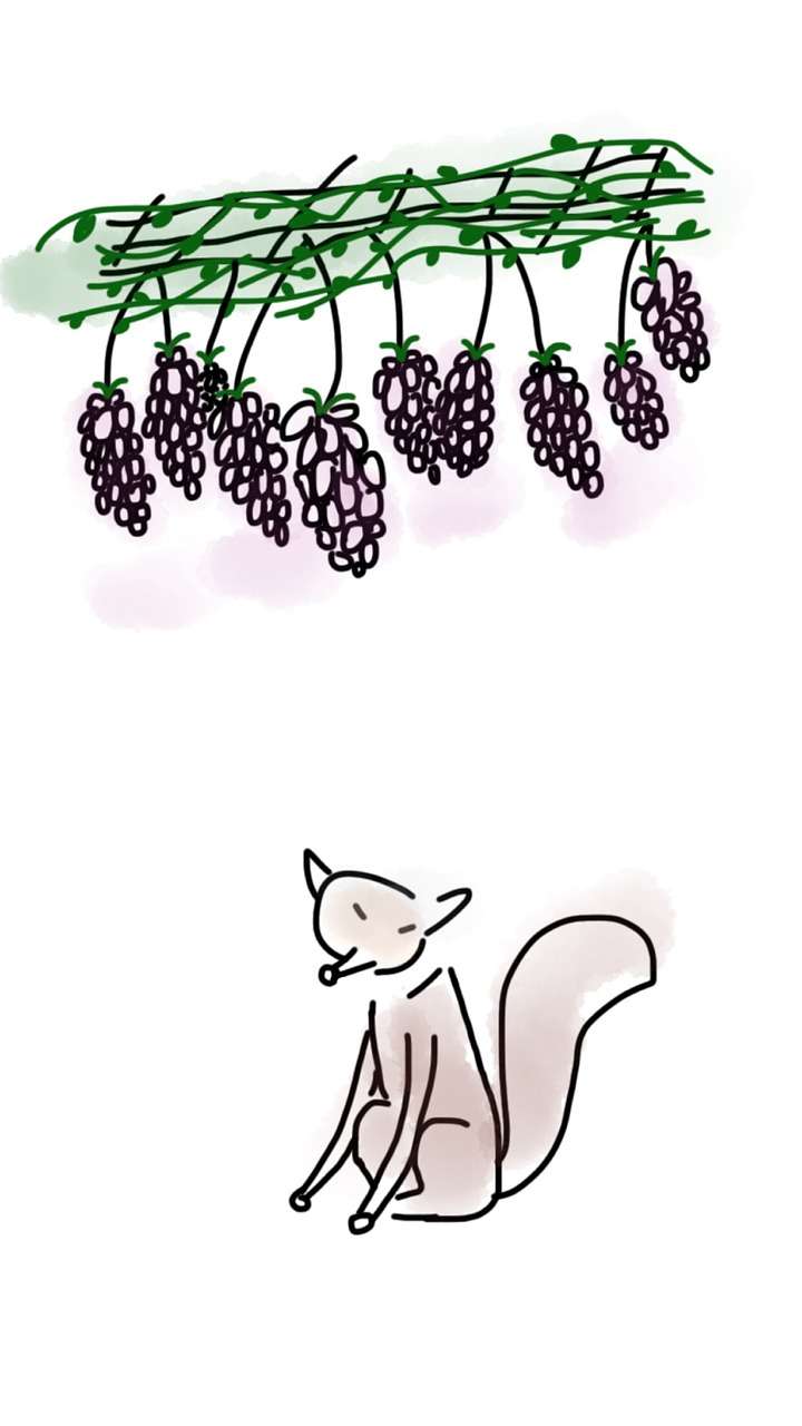 Sour grapes fox, grapes, vine