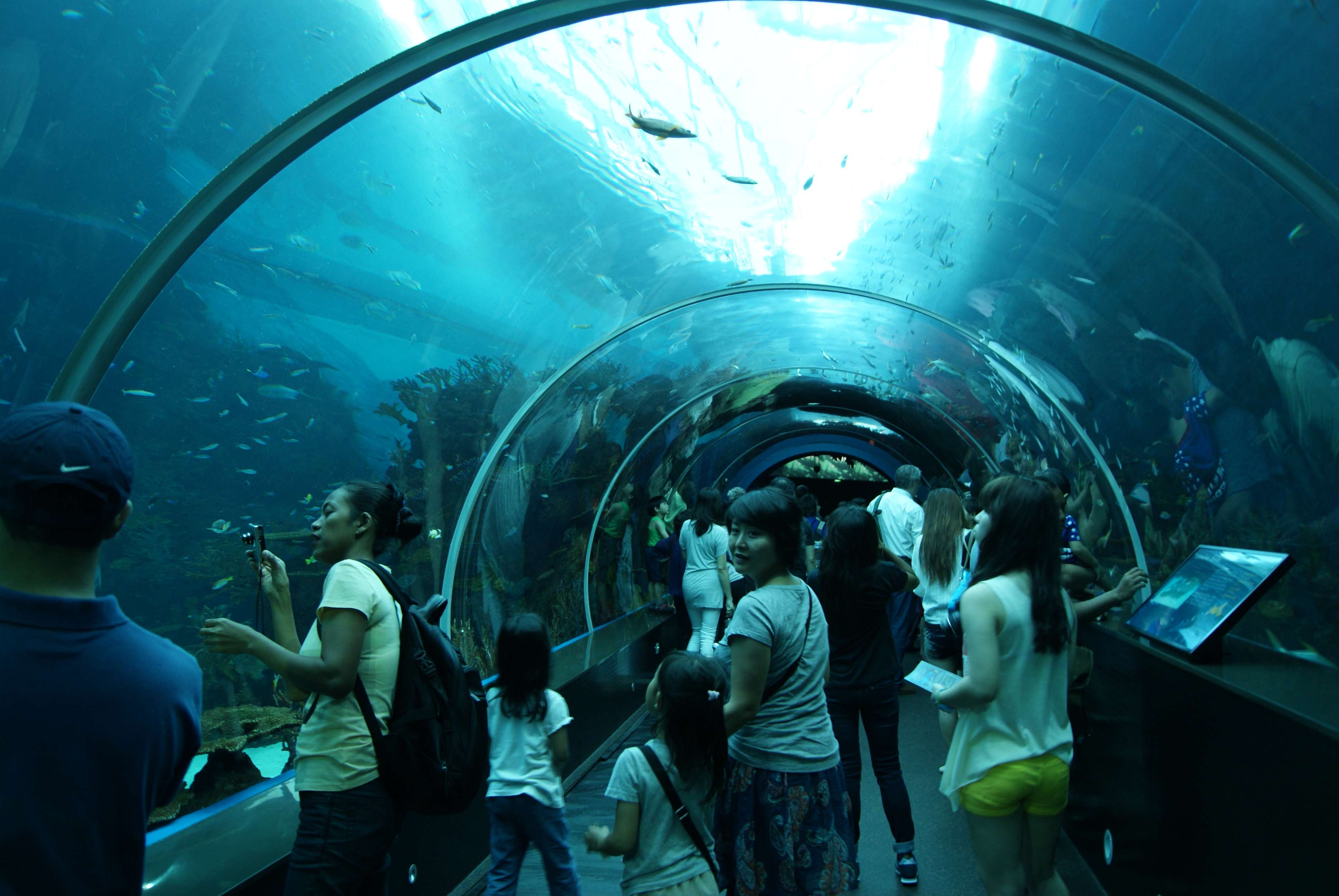 SEA aquarium Sentosa Island Singapore
