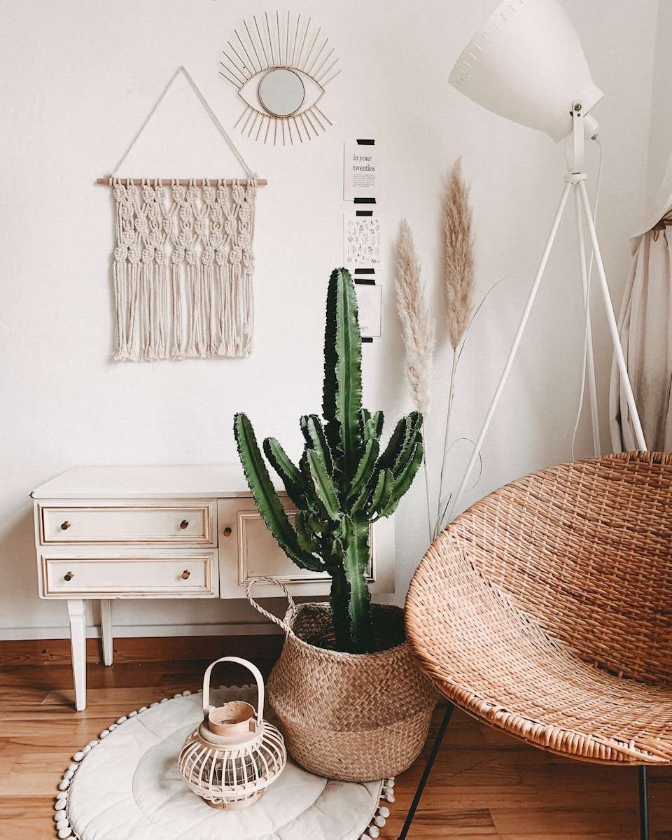 Boho style interiors Modern home decor green cactus plant in room