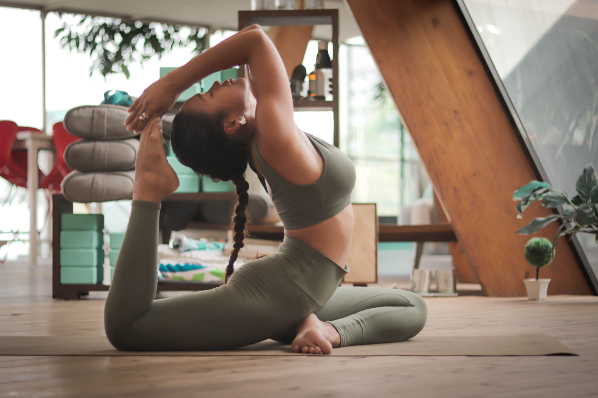 A Gentle Guide to Whole Wellness for Humans and Animals