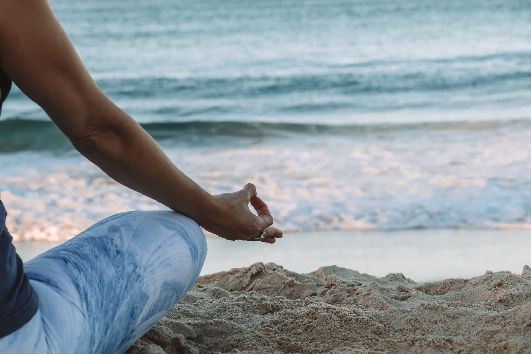 A Gentle Guide to Whole Wellness for Humans and Animals