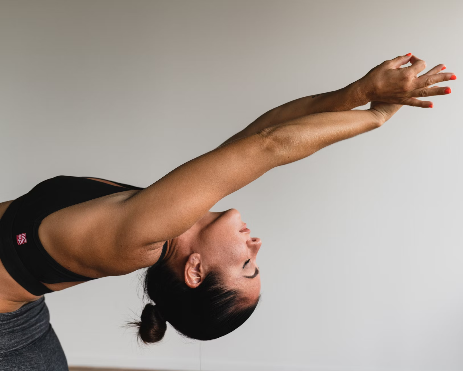 A Gentle Guide to Whole Wellness for Humans and Animals