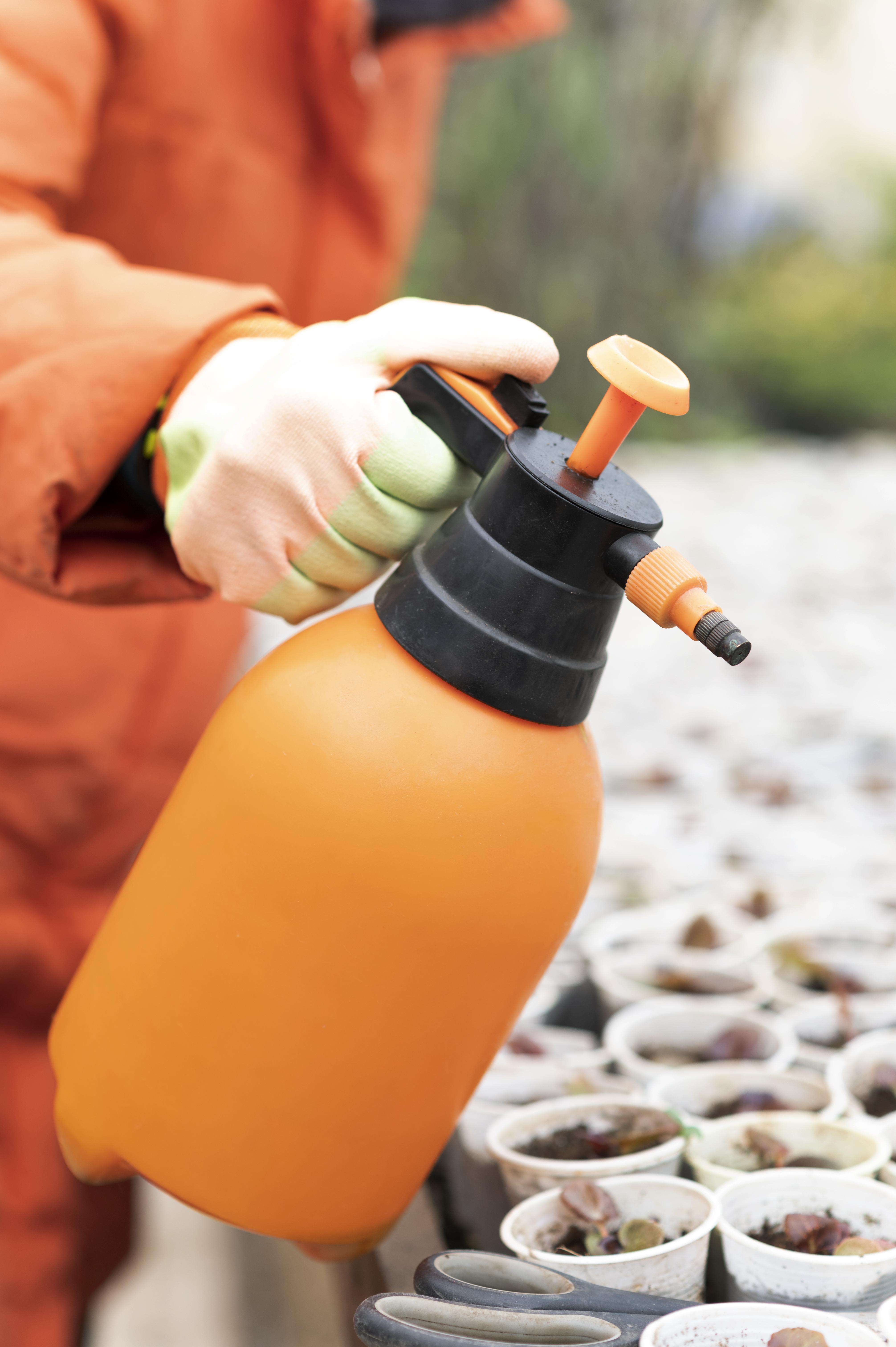 Safe Pest Control Practices for a Healthy Environment