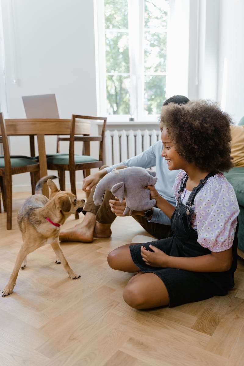 4 Simple Ways to Keep Big Dogs Busy and Happy Indoors A joyful family interaction with a dog and child playing indoors, capturing a moment of bonding.