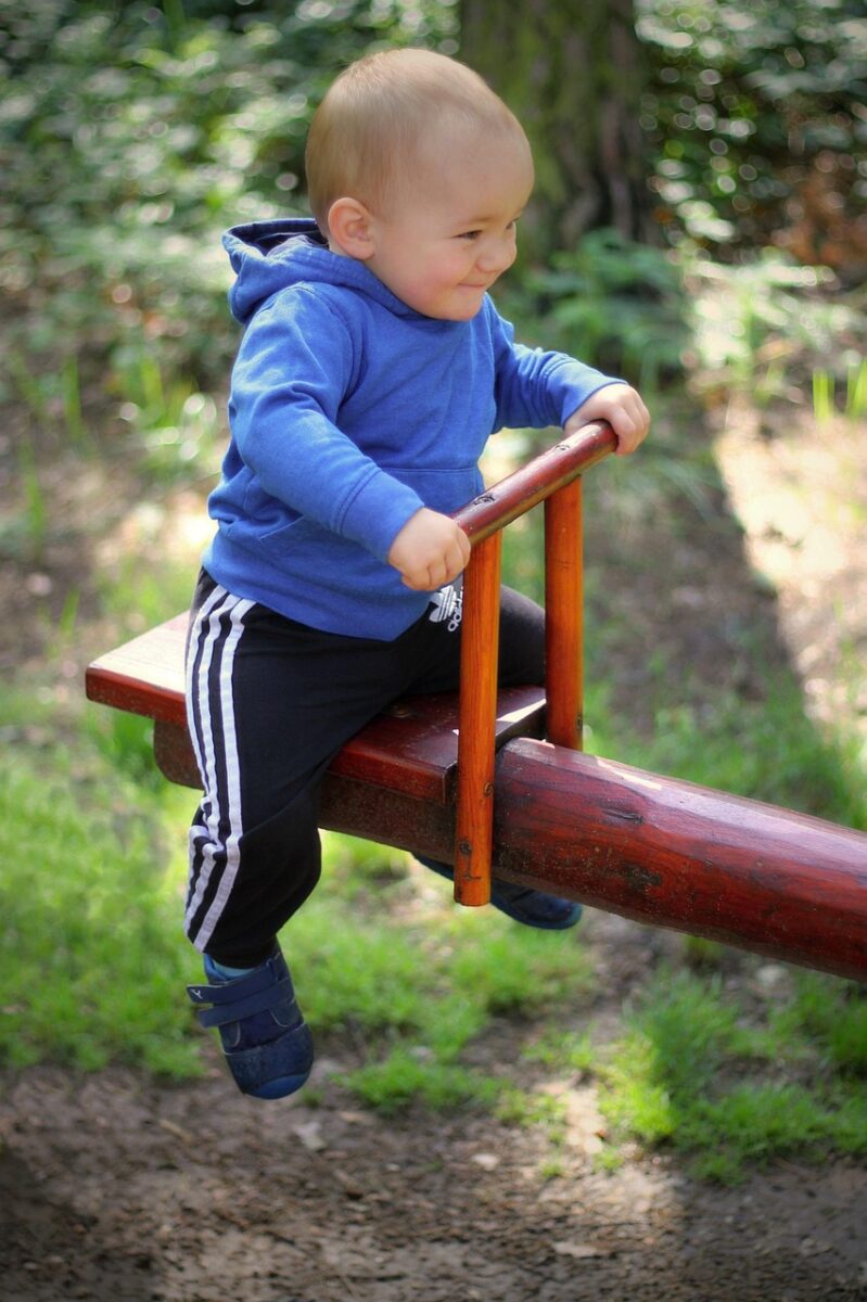 How to Create a Low-Maintenance Garden That Still Looks Professionally Managed child, swing, swinging, entertainment, play, childhood, boy, young, nature, playground, outdoor, atmosphere, of nature, mood, park, happy, out, wood, wooden swing, grass, trees
