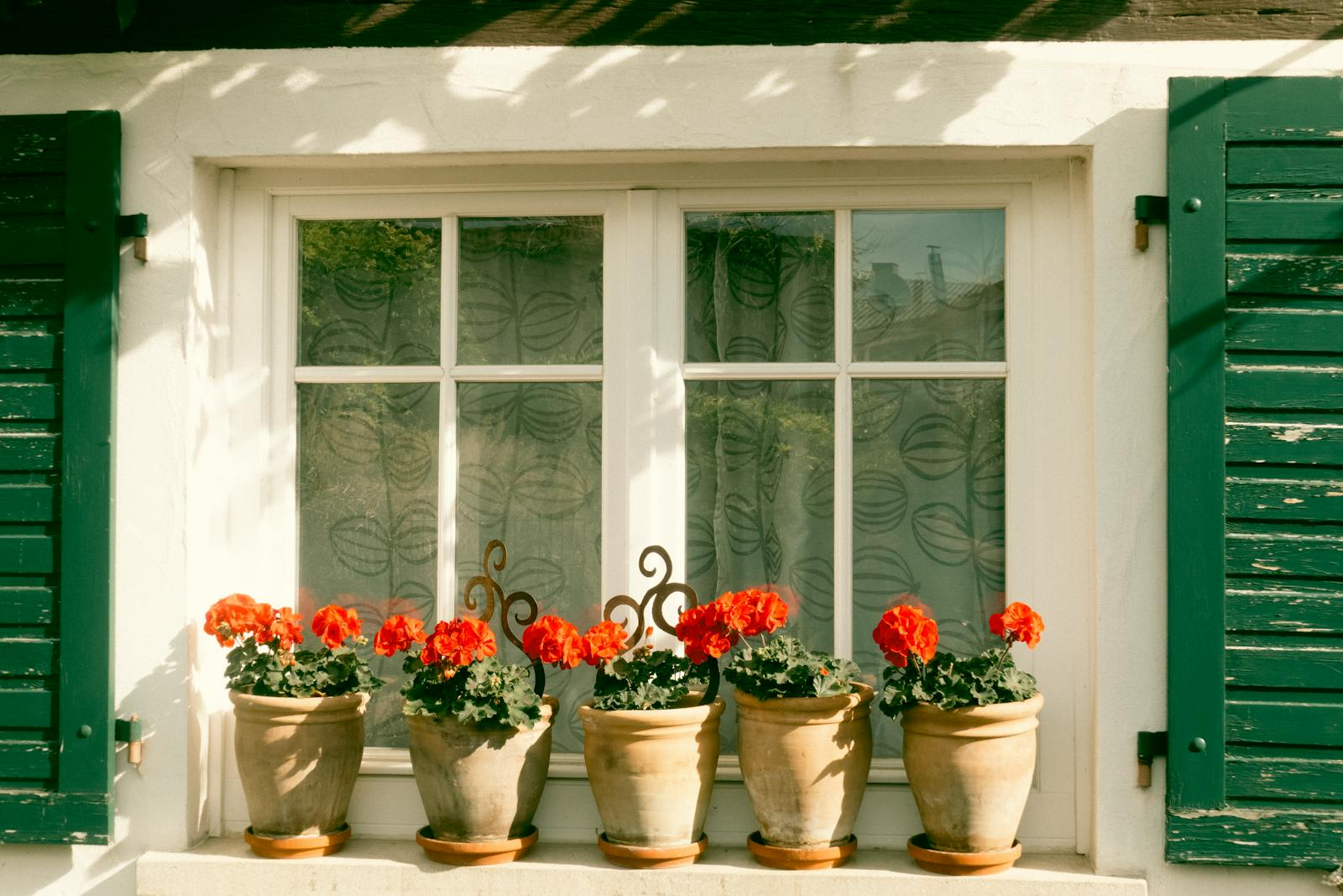 The Importance of Timely Window Repairs for Your Home Bright red geraniums in terracotta pots adorning a rustic window sill, conveying a warm and welcoming vibe.