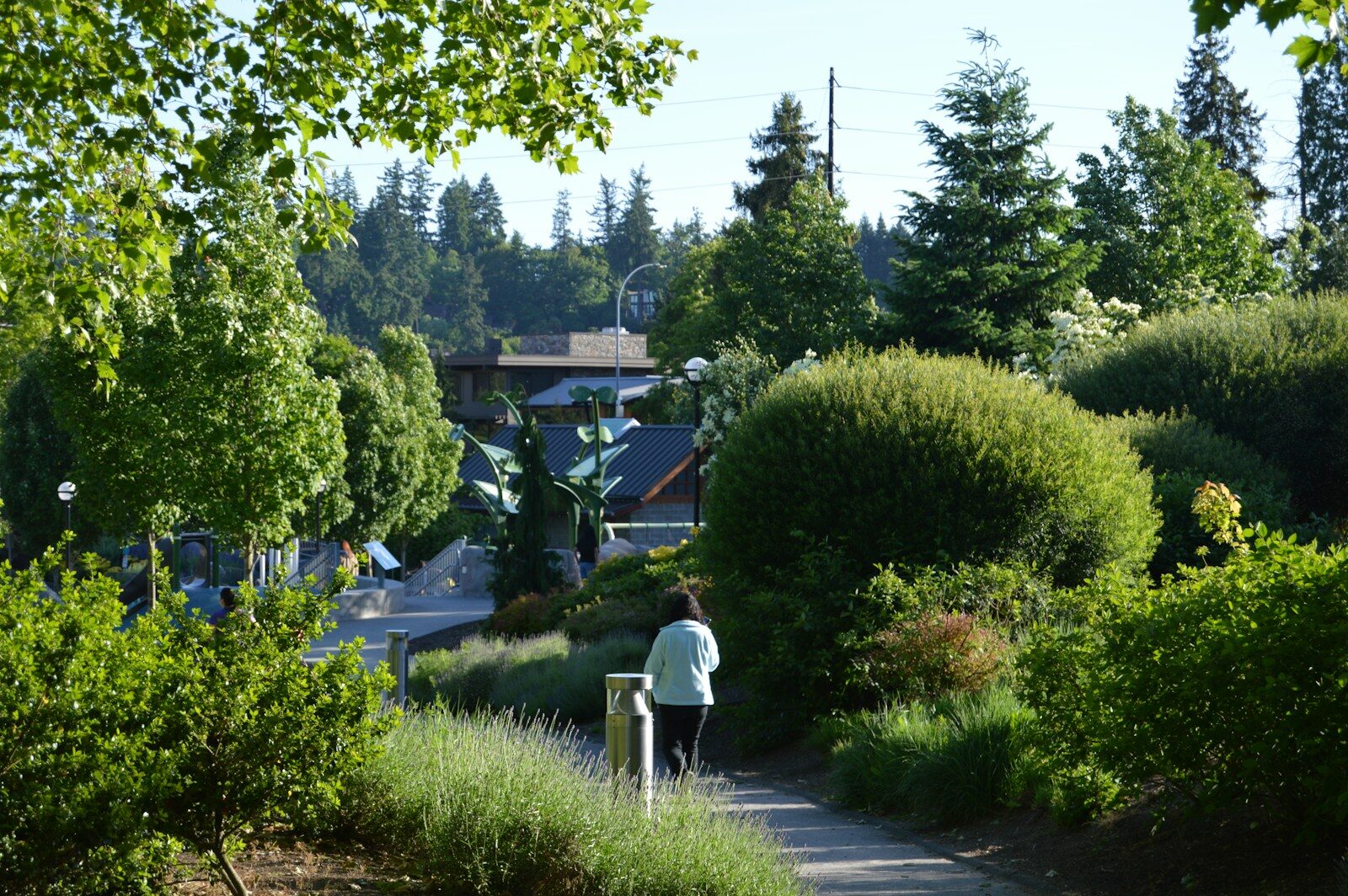 Selling Your Home in Bellevue, Washington: A Comprehensive Guide to a Fast, Successful Sale A person walks on a pathway surrounded by nature.