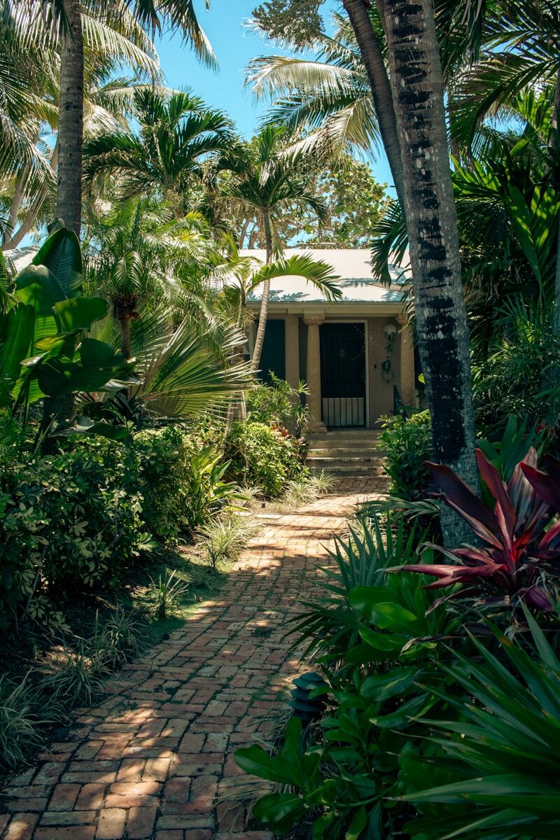 How to Sell Your House Fast in Orange Park, FL: A Complete Guide for Homeowners A house surrounded by palm trees and greenery