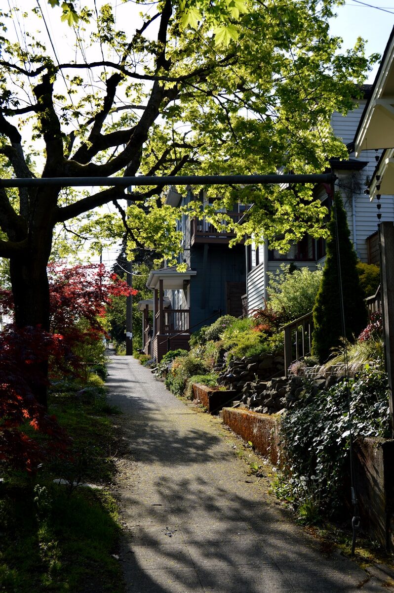 Selling Your Home in Bellevue, Washington: A Comprehensive Guide to a Fast, Successful Sale A charming, winding street in the sun.