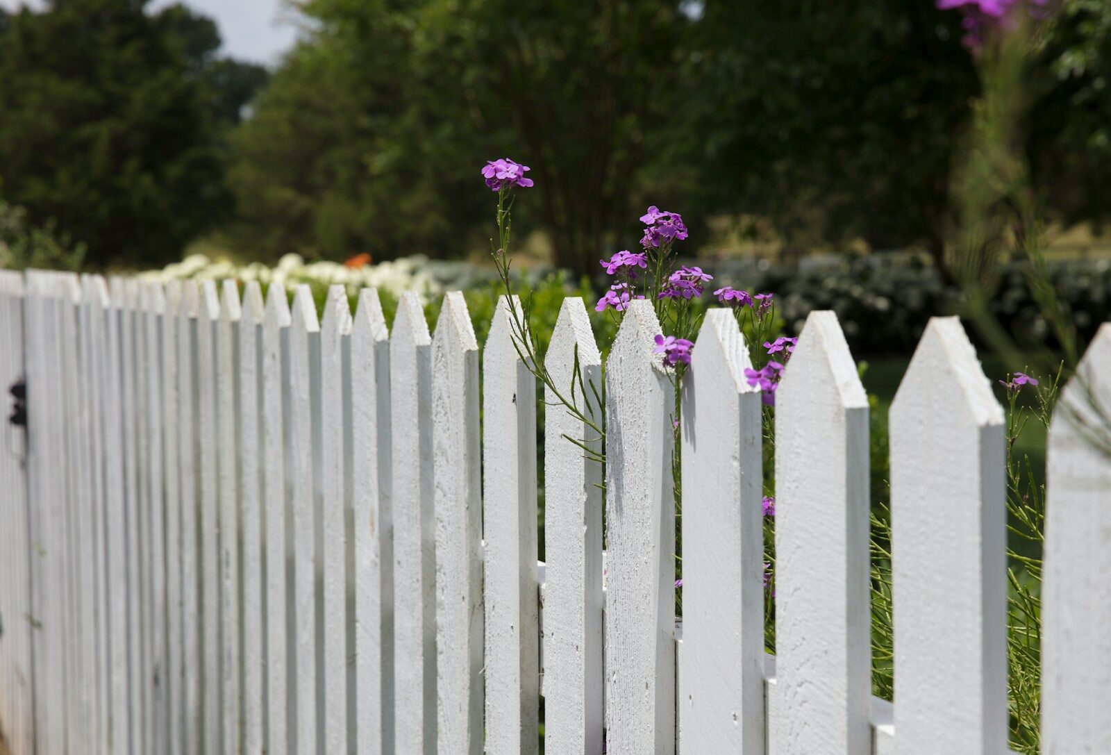 Top 5 Fence Installation Companies in 2026: Expert Picks for Quality and Reliability pink petaled flowers blooms near fence