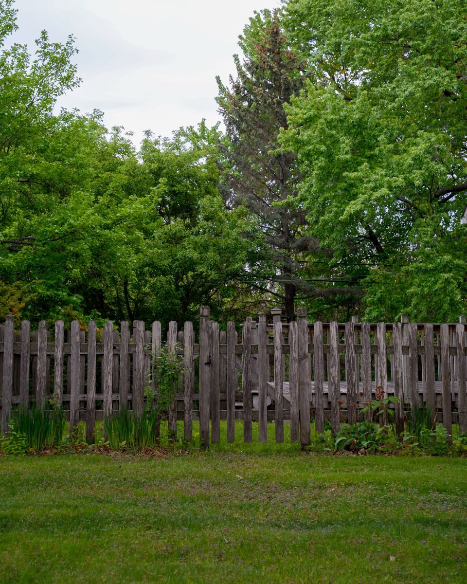 Top 5 Fence Installation Companies in 2026: Expert Picks for Quality and Reliability Lush backyard scene with wooden fence and vibrant green trees.